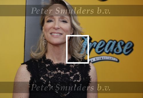 Amsterdam 3 april 2023
Premiere Grease in het DeLaMar theater.