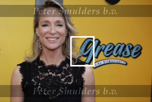 Amsterdam 3 april 2023
Premiere Grease in het DeLaMar theater.