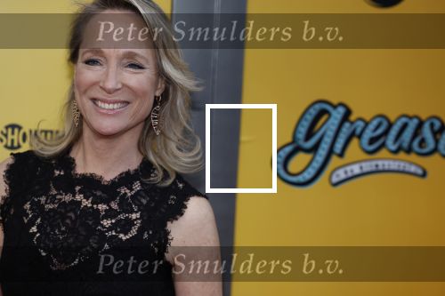 Amsterdam 3 april 2023
Premiere Grease in het DeLaMar theater.