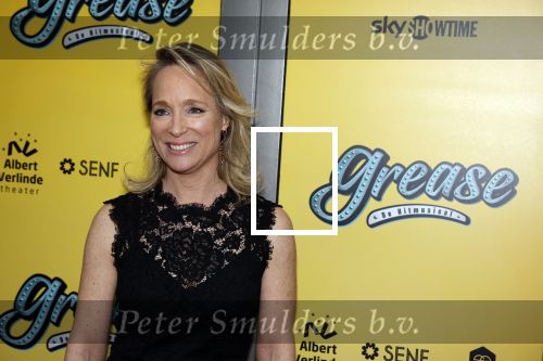 Amsterdam 3 april 2023
Premiere Grease in het DeLaMar theater.