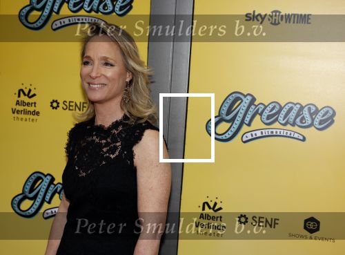 Amsterdam 3 april 2023
Premiere Grease in het DeLaMar theater.