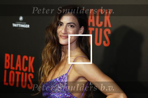 Amsterdam 10 april 2023
Premiere Black Lotus in Tuschinski met Rico Verhoeven in de hoofdrol.
Rona Lee Shimon