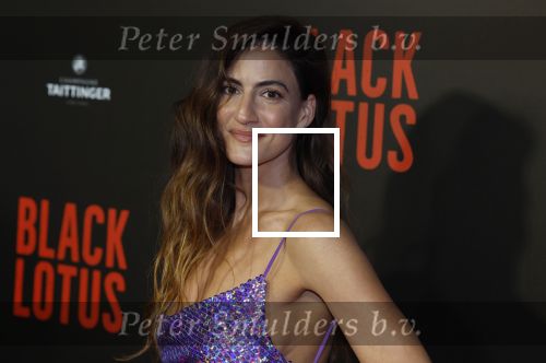 Amsterdam 10 april 2023
Premiere Black Lotus in Tuschinski met Rico Verhoeven in de hoofdrol.
Rona Lee Shimon