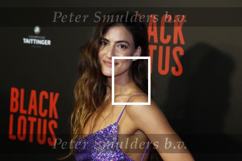 Amsterdam 10 april 2023
Premiere Black Lotus in Tuschinski met Rico Verhoeven in de hoofdrol.
Rona Lee Shimon