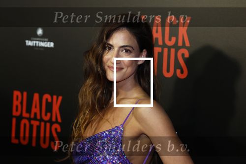 Amsterdam 10 april 2023
Premiere Black Lotus in Tuschinski met Rico Verhoeven in de hoofdrol.
Rona Lee Shimon