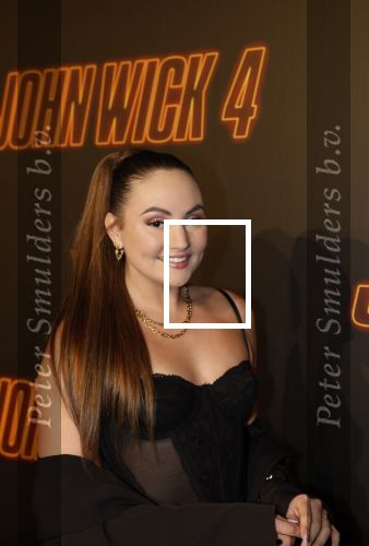 Amsterdam 21 maart 2023
Premiere JohnWick in de kromhouthallen.
Rowenna v d Linden