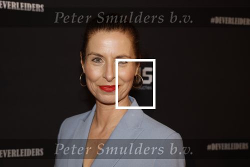 Amsterdam 15 maart 2023
Premiere de Verleiders in het deLaMar Theater.
Sandra Mattie