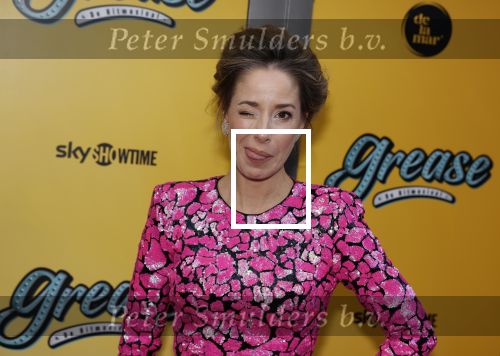 Amsterdam 3 april 2023
Premiere Grease in het DeLaMar theater.
Suzan Seegers