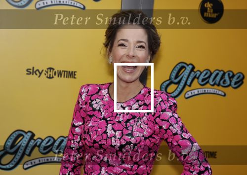 Amsterdam 3 april 2023
Premiere Grease in het DeLaMar theater.
Suzan Seegers