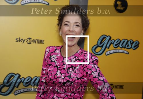 Amsterdam 3 april 2023
Premiere Grease in het DeLaMar theater.
Suzan Seegers