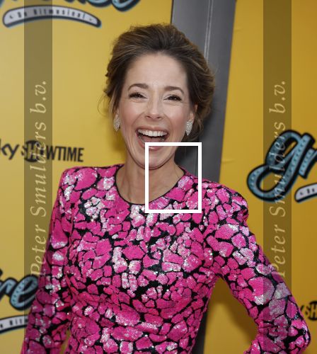Amsterdam 3 april 2023
Premiere Grease in het DeLaMar theater.
Suzan Seegers