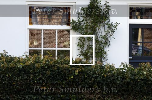 Huizen 25 maart 2023
Het huis van Tom Egbers en janke Dekker staat vol met bloemen .