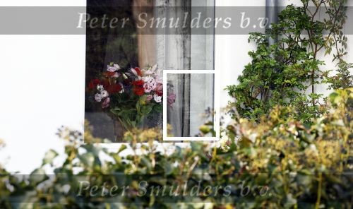 Huizen 25 maart 2023
Het huis van Tom Egbers en janke Dekker staat vol met bloemen .