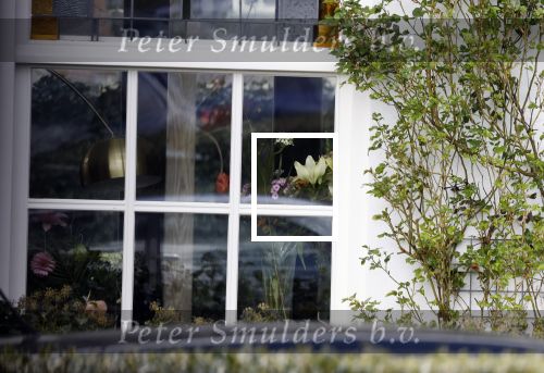 Huizen 25 maart 2023
Het huis van Tom Egbers en janke Dekker staat vol met bloemen .