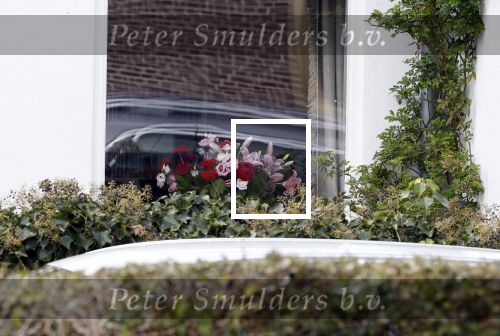 Huizen 25 maart 2023
Het huis van Tom Egbers en janke Dekker staat vol met bloemen .