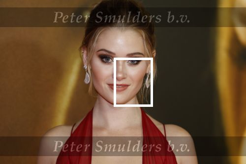 Amsterdam 28 maart 2023
Premiere Beuatiful Disaster in Tuschinksi.
Dylan Sprouse en Virginia Gardner