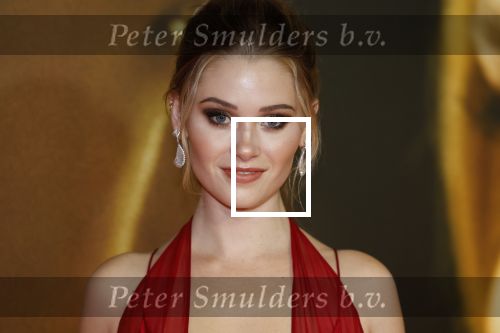 Amsterdam 28 maart 2023
Premiere Beuatiful Disaster in Tuschinksi.
Dylan Sprouse en Virginia Gardner