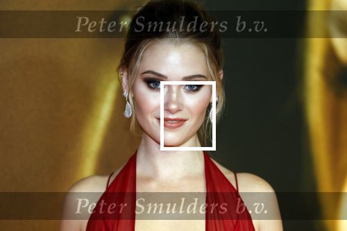 Amsterdam 28 maart 2023
Premiere Beuatiful Disaster in Tuschinksi.
Dylan Sprouse en Virginia Gardner