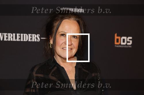 Amsterdam 15 maart 2023
Premiere de Verleiders in het deLaMar Theater.
Xandra Brood