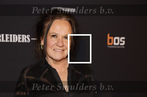 Amsterdam 15 maart 2023
Premiere de Verleiders in het deLaMar Theater.
Xandra Brood