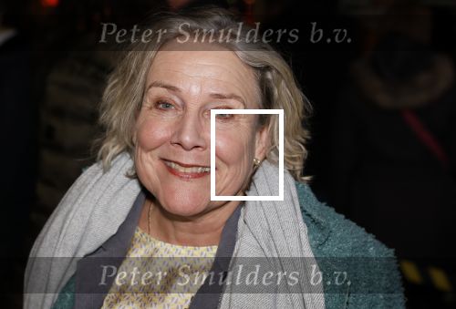 Amsterdam 10 maart 2024
Event alzheimer in het ziggo dome. Ank Beijleveld