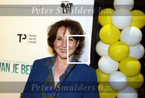 Den Bosch 23 maart 2024
Premiere ver van je bed in theater de Parade. Anne Mieke Ruyten