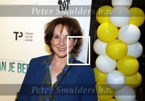Den Bosch 23 maart 2024
Premiere ver van je bed in theater de Parade. Anne Mieke Ruyten