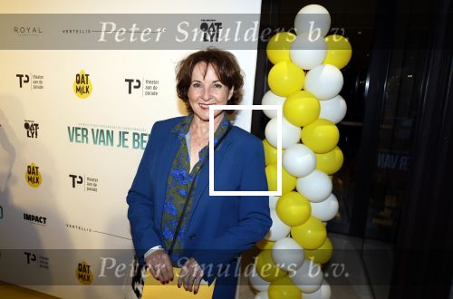 Den Bosch 23 maart 2024
Premiere ver van je bed in theater de Parade. Anne Mieke Ruyten