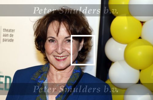 Den Bosch 23 maart 2024
Premiere ver van je bed in theater de Parade. Anne Mieke Ruyten