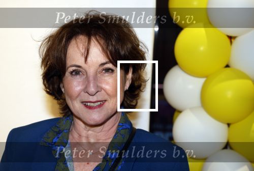 Den Bosch 23 maart 2024
Premiere ver van je bed in theater de Parade. Anne Mieke Ruyten