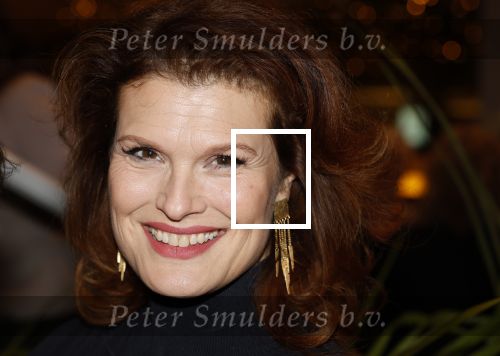 Amstelveen 22 januari 2024
Premiere Top Vrouwen in schouwburg van Amstelveen . Anouk v Nes