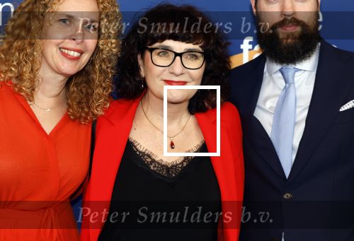 Amsterdam 15 maart 2024
Boekenbal in de stadschouwburg. Anya Niewierra