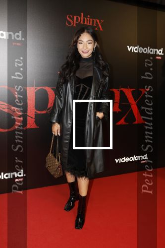 Amsterdam 18 maart 2024
Premiere Spinx in Pathe Tuschinski met in de cast oa Andrea Vass Benja Bruijning Chardonnay Rillen Delilah Warcup v Eyck Eva v Heijningen Marvcel Hensema Rami Kooti Arab Rifka Lodeizen Sallie Harmsen en Sil v d Zwan. April Darby kwam met partner