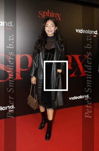 Amsterdam 18 maart 2024
Premiere Spinx in Pathe Tuschinski met in de cast oa Andrea Vass Benja Bruijning Chardonnay Rillen Delilah Warcup v Eyck Eva v Heijningen Marvcel Hensema Rami Kooti Arab Rifka Lodeizen Sallie Harmsen en Sil v d Zwan. April Darby kwam met partner