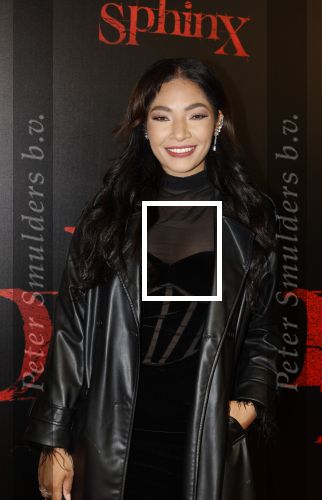 Amsterdam 18 maart 2024
Premiere Spinx in Pathe Tuschinski met in de cast oa Andrea Vass Benja Bruijning Chardonnay Rillen Delilah Warcup v Eyck Eva v Heijningen Marvcel Hensema Rami Kooti Arab Rifka Lodeizen Sallie Harmsen en Sil v d Zwan. April Darby kwam met partner