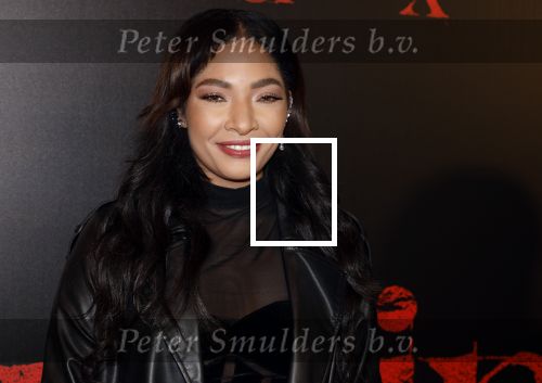 Amsterdam 18 maart 2024
Premiere Spinx in Pathe Tuschinski met in de cast oa Andrea Vass Benja Bruijning Chardonnay Rillen Delilah Warcup v Eyck Eva v Heijningen Marvcel Hensema Rami Kooti Arab Rifka Lodeizen Sallie Harmsen en Sil v d Zwan. April Darby kwam met partner