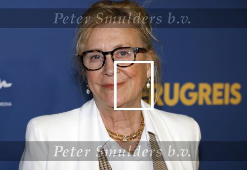 Rotterdam 13 maart 2024
Premiere de terugreis met oa Martin v Waardenberg en Leny Breederveld. Beppie Melissen