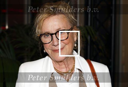 Rotterdam 13 maart 2024
Premiere de terugreis met oa Martin v Waardenberg en Leny Breederveld. Beppie Melissen