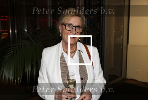 Rotterdam 13 maart 2024
Premiere de terugreis met oa Martin v Waardenberg en Leny Breederveld. Beppie Melissen
