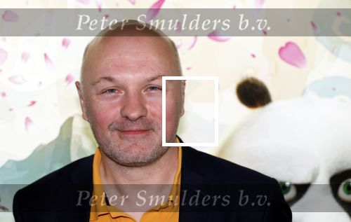 Amsterdam 10 maart 2024
Premiere Kung Fu Panda in de pathe Arena. Boris v d Ham met kennis