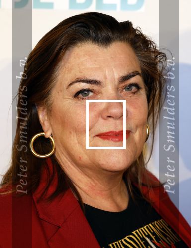 Den Bosch 23 maart 2024
Premiere ver van je bed in theater de Parade. Carolina Mout