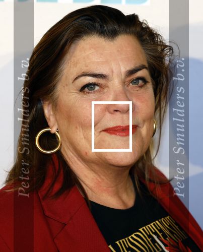 Den Bosch 23 maart 2024
Premiere ver van je bed in theater de Parade. Carolina Mout