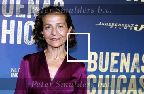 Amsterdam 4 maart 2024
Premiere Buenas Chicas in Tuschinski met oa Susan radder Noel v Kleef Britt Scholte Thijs Boermans Juvat westendorp Robin FringsFelice Poppeliers en Christina Zaragoza.