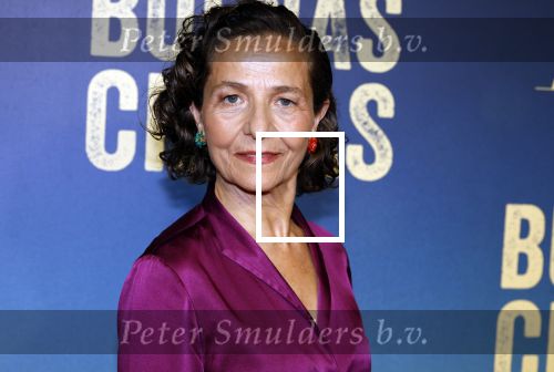 Amsterdam 4 maart 2024
Premiere Buenas Chicas in Tuschinski met oa Susan radder Noel v Kleef Britt Scholte Thijs Boermans Juvat westendorp Robin FringsFelice Poppeliers en Christina Zaragoza.