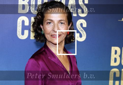 Amsterdam 4 maart 2024
Premiere Buenas Chicas in Tuschinski met oa Susan radder Noel v Kleef Britt Scholte Thijs Boermans Juvat westendorp Robin FringsFelice Poppeliers en Christina Zaragoza.