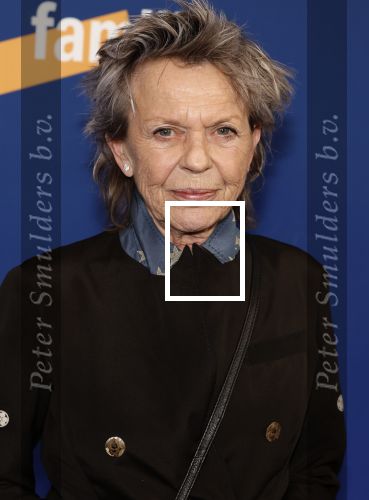 Amsterdam 15 maart 2024
Boekenbal in de stadschouwburg. Connie Palmen