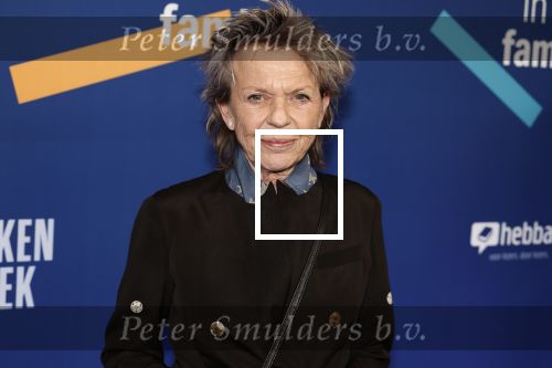 Amsterdam 15 maart 2024
Boekenbal in de stadschouwburg. Connie Palmen