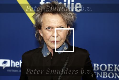 Amsterdam 15 maart 2024
Boekenbal in de stadschouwburg. Connie Palmen
