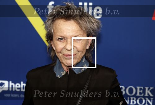 Amsterdam 15 maart 2024
Boekenbal in de stadschouwburg. Connie Palmen