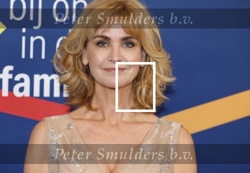 Amsterdam 15 maart 2024
Boekenbal in de stadschouwburg.
